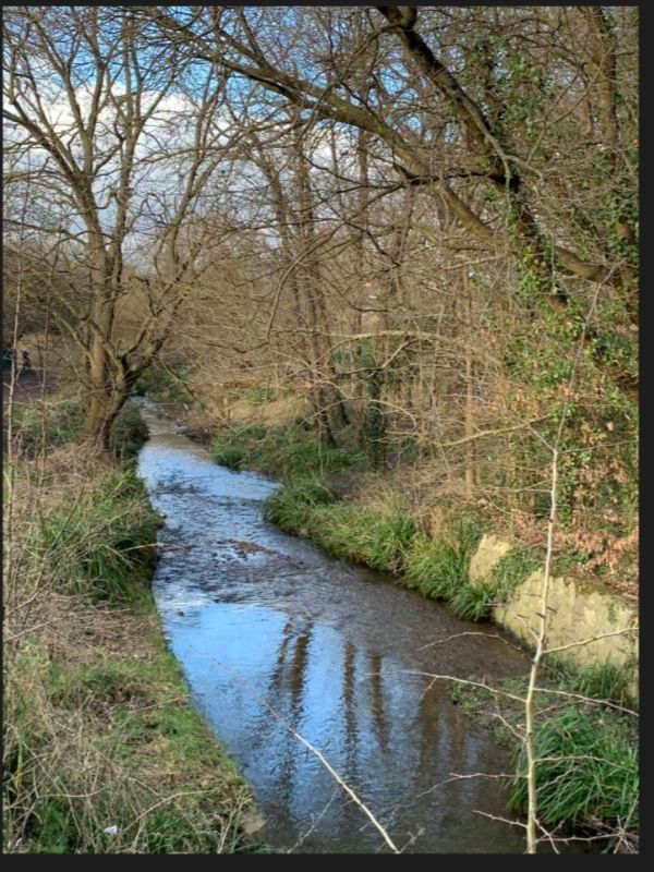 River Hogsmill